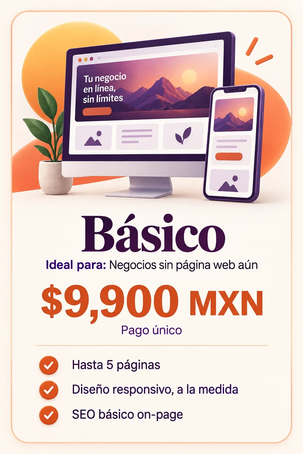 Paquete básico de diseño web para negocios en México